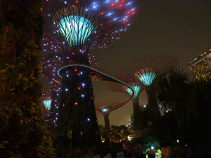 Supertrees Marina Bay Gardens Singapore