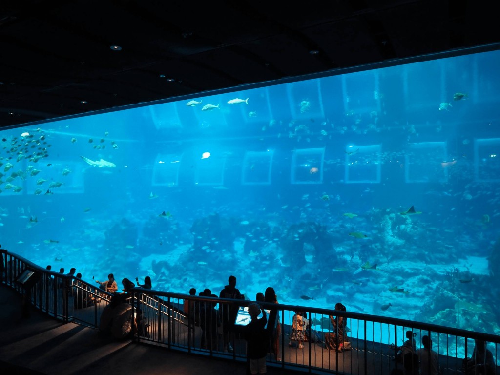 sea2